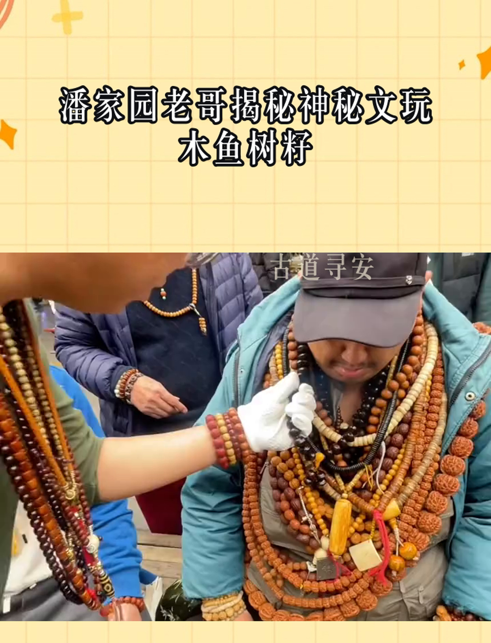 潘家园老哥揭秘神秘文玩木鱼树籽