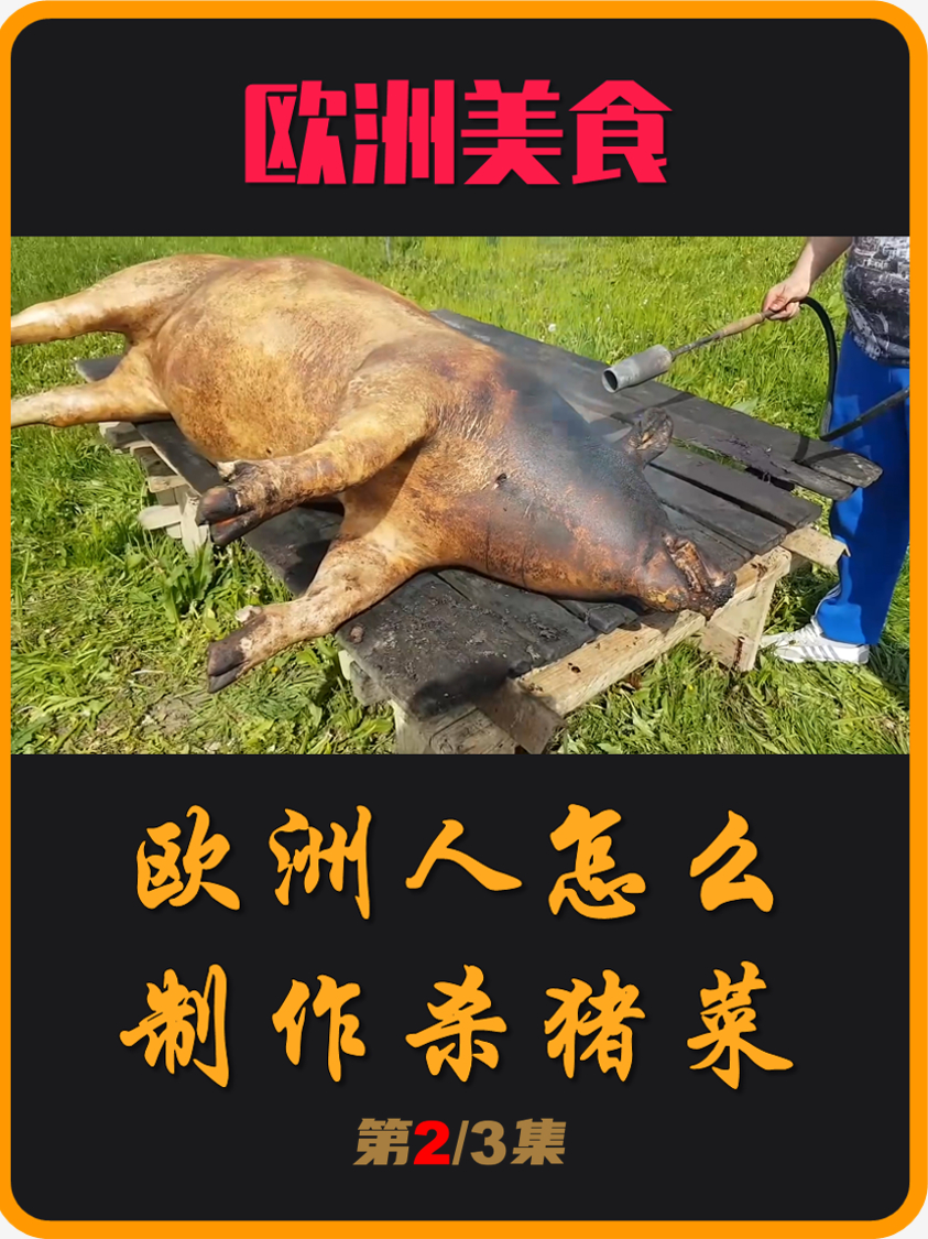 一个视频讲清楚,欧洲人是如何制作杀猪菜的(02)