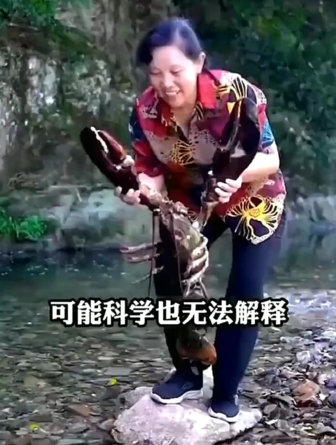 有了这本食疗大全,学会食物各种配比和吃法,日常养生治病都能用