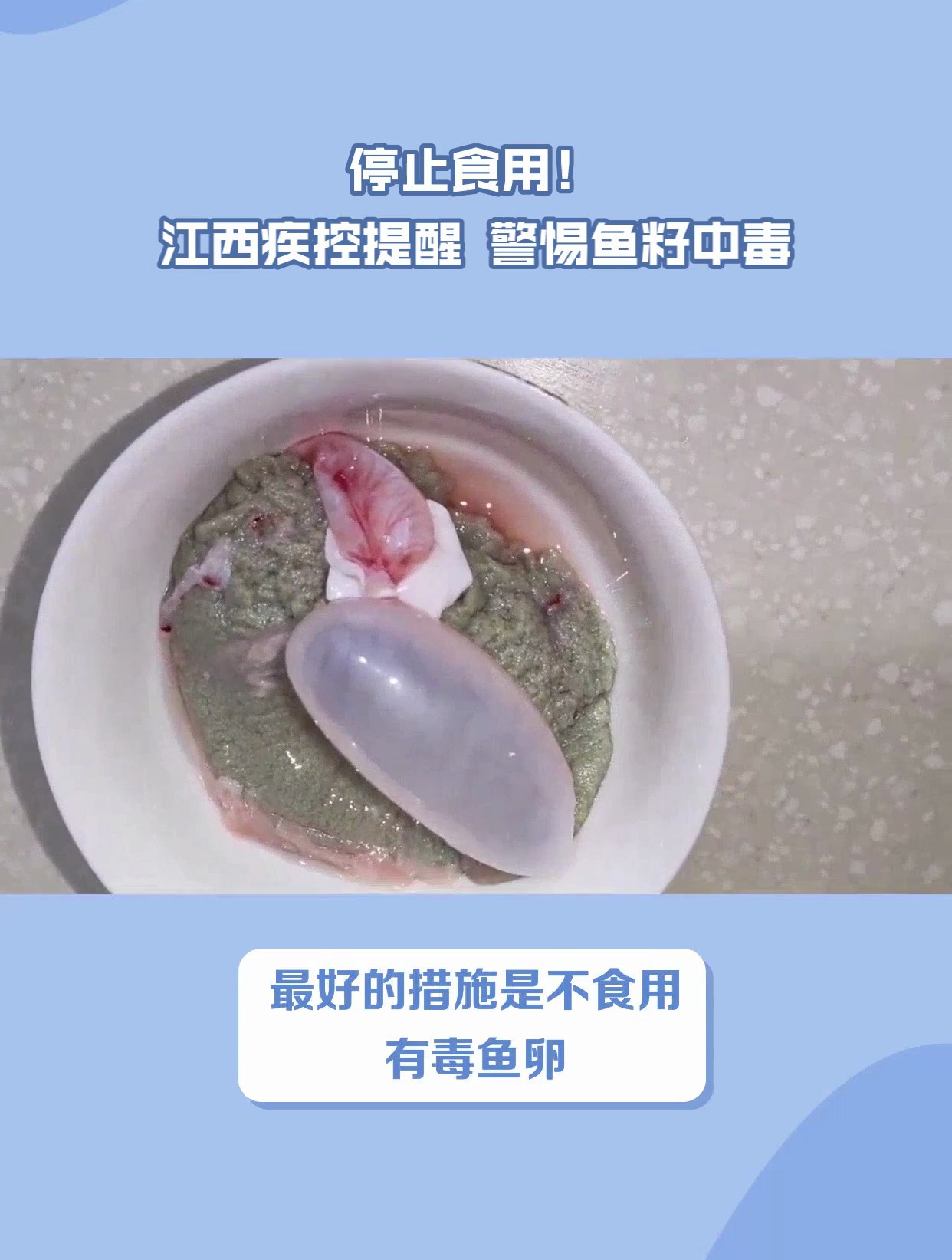 快停止食用!这种鱼的鱼籽毒性很强,也不要喂给家里的鸡狗