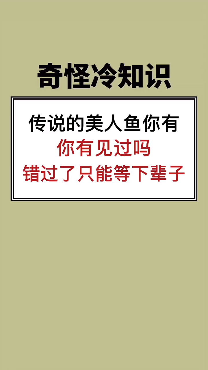 世界上会有美人鱼吗,国外男子拍到类似美人鱼的生物
