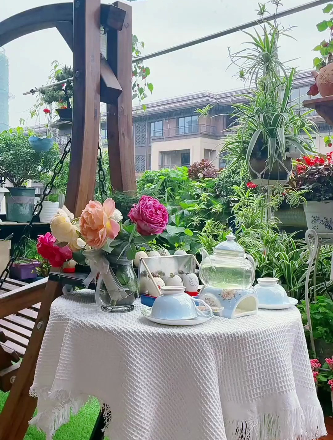 我的露天阳台小花园和楼顶花园鲜花盛开 人间最美四月天