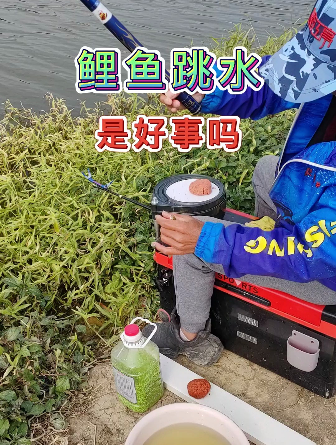 鲤鱼跳水是好事吗
