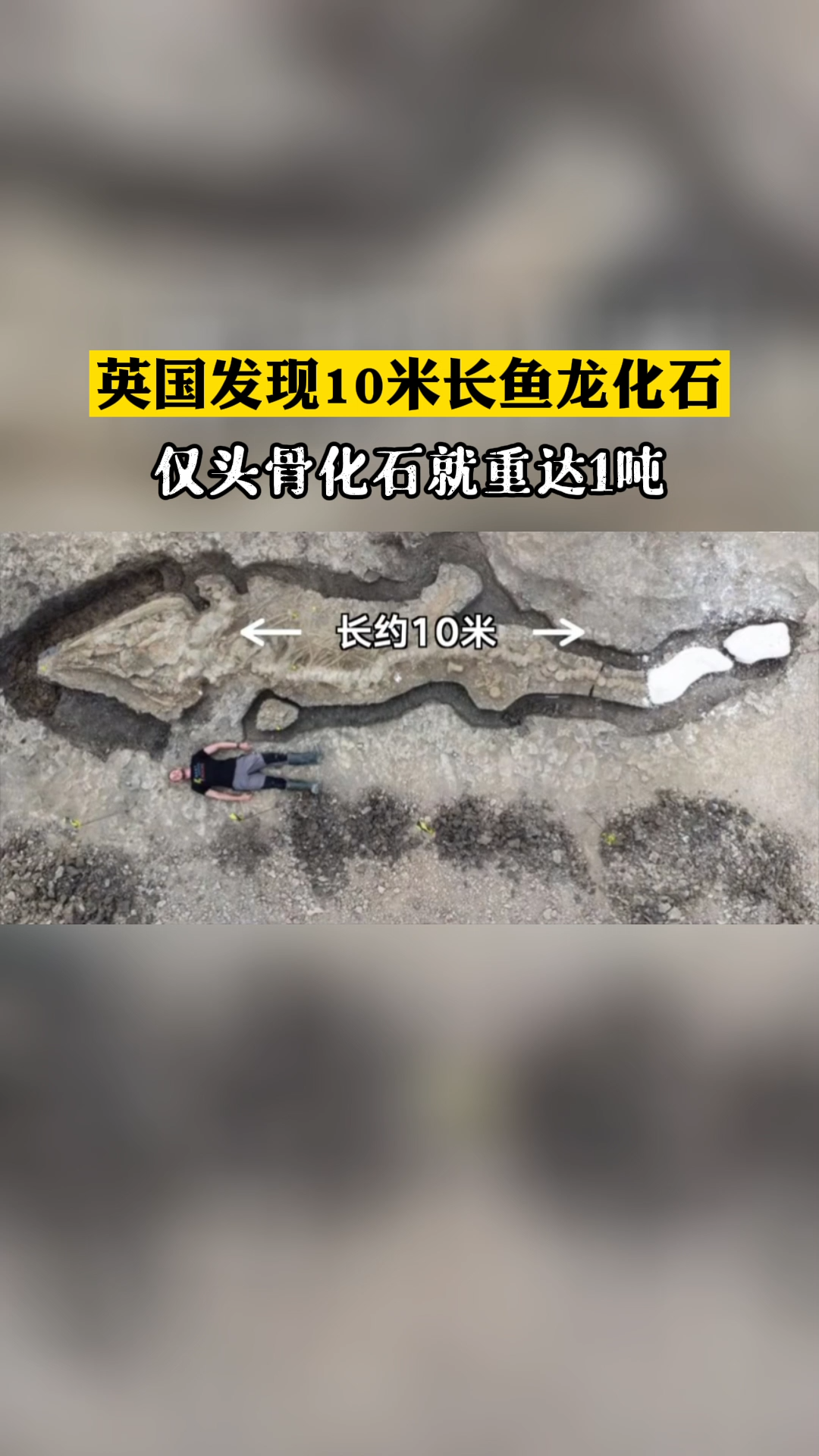 英国发现10米长鱼龙化石 英国 鳄鱼 化石