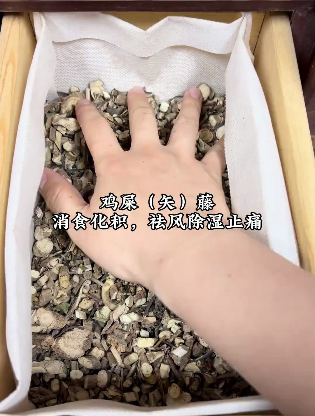 中药科普——鸡屎(矢)藤