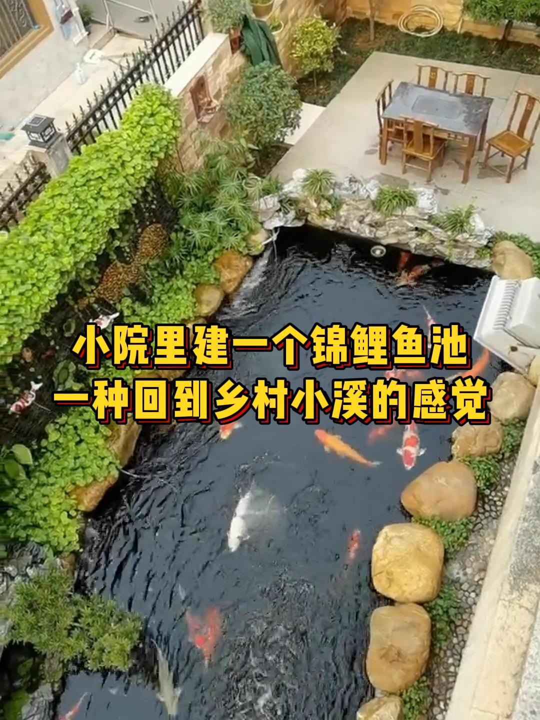 小院里建一个锦鲤鱼池,一种回到乡村小溪的感觉