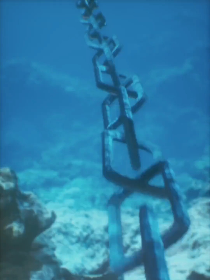 无敌从抓龙做汤开始 01