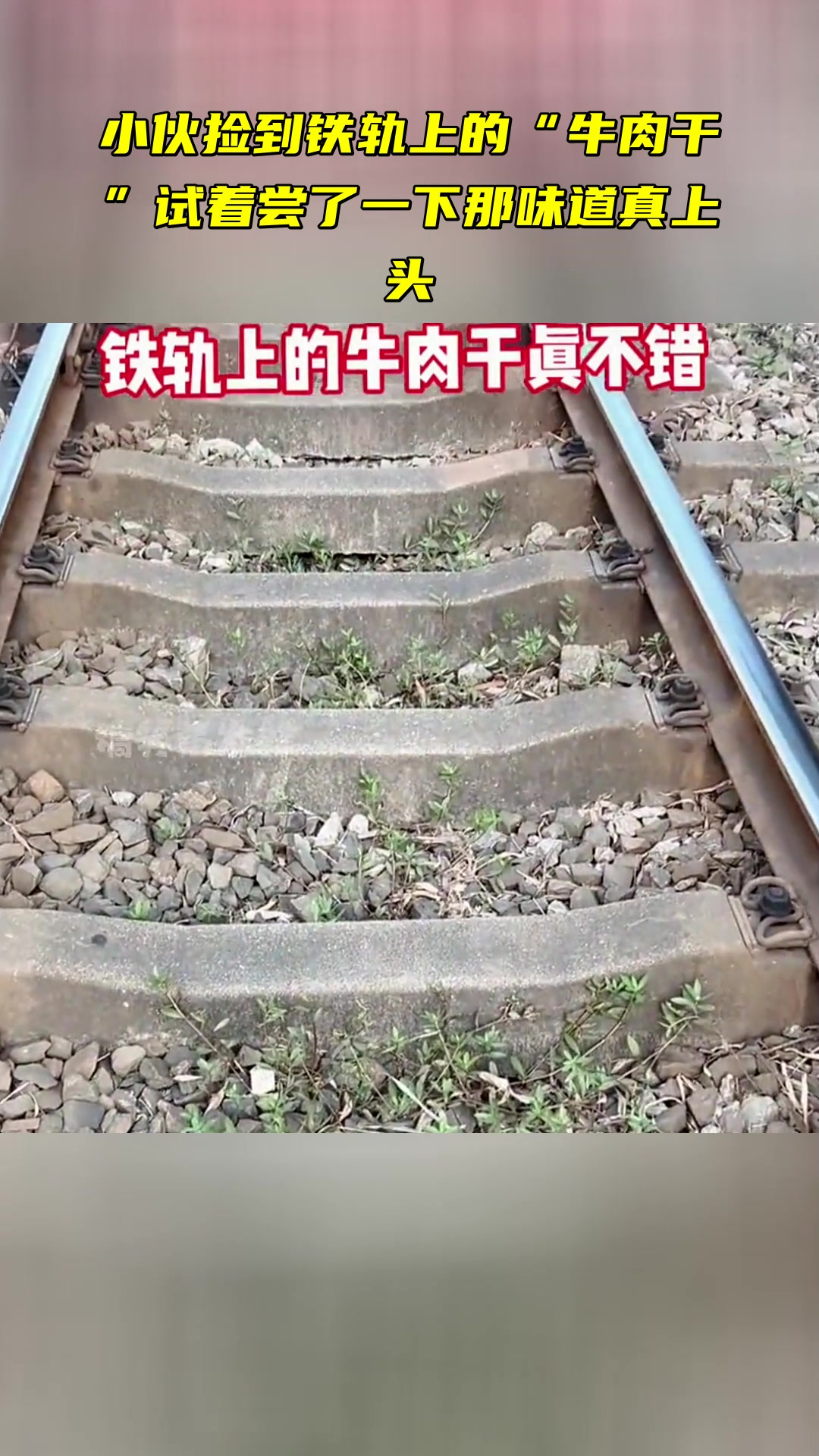 小伙捡到铁轨上的“牛肉干” 试着尝了一下 那味道真上头