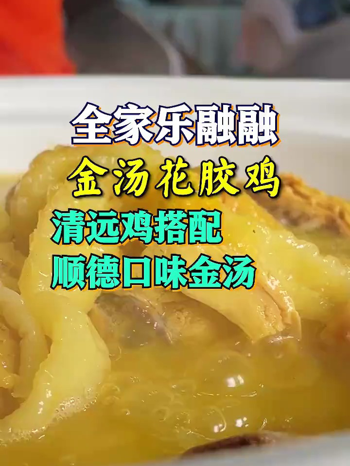 非常有顺德风味的金汤花胶鸡,今晚又不用做饭了
