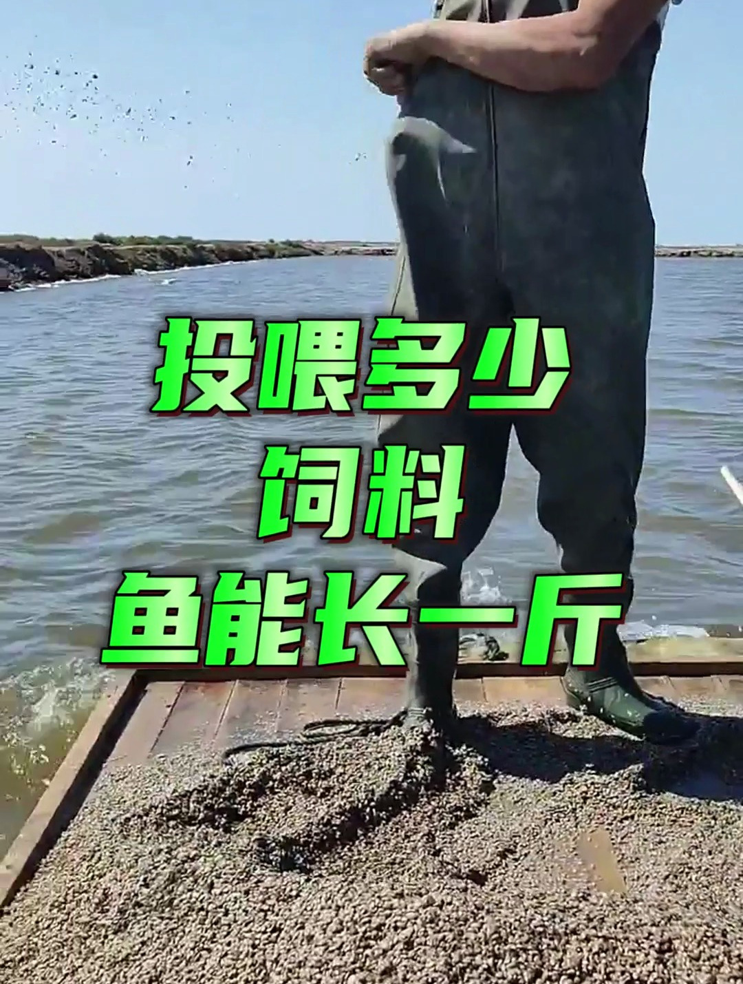 投喂多少饲料,鱼能长一斤!你知道吗?