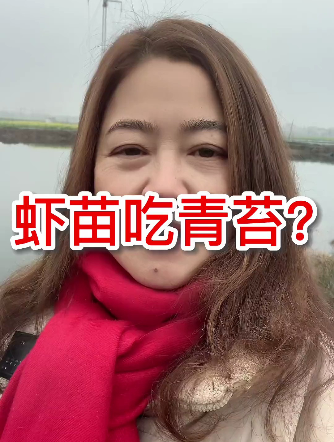 虾苗到底吃不吃青苔,欢迎大家评论区讨论