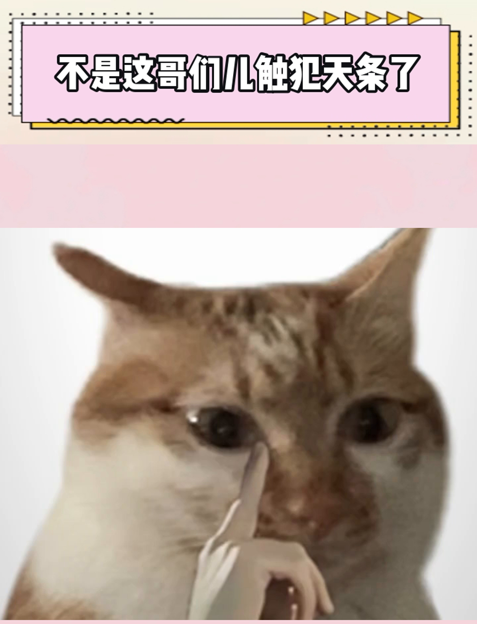 孙悟空大闹天宫才判了500年,你是毁灭了一个星球么?