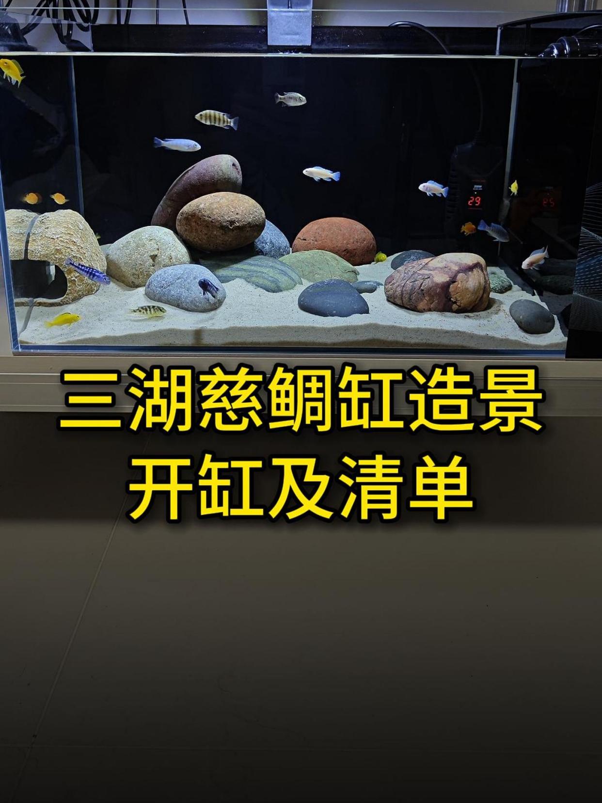 三湖慈鲷缸开缸造景教程,和器材清单,太好看了这鱼缸!