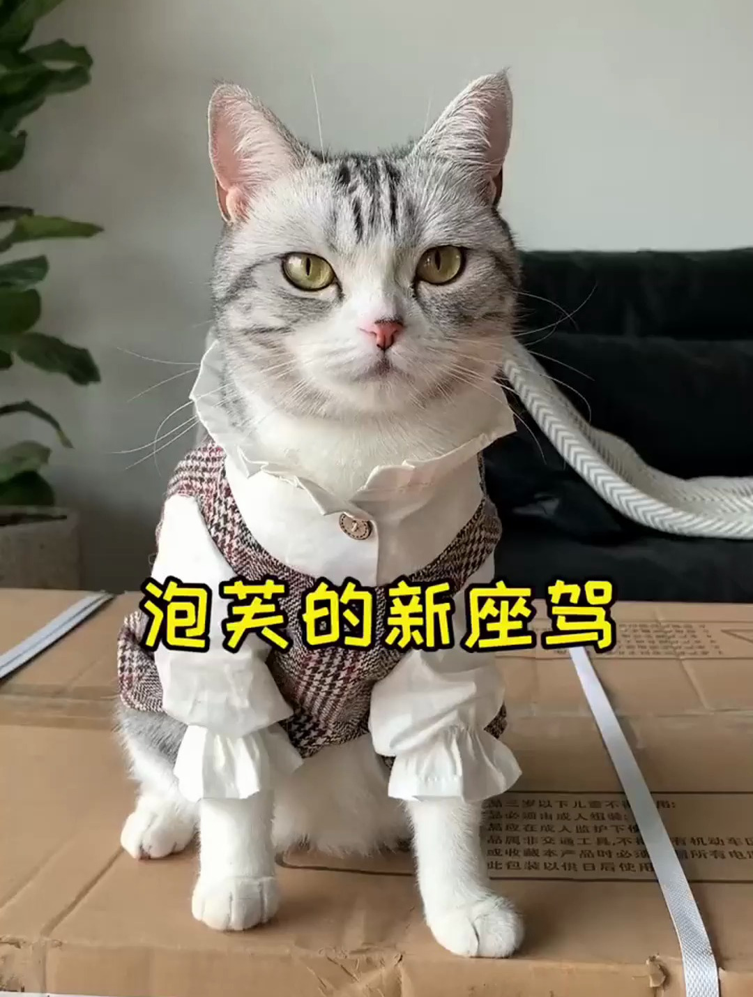 泡芙拥有一辆粉色小跑车 改天带她出门兜风