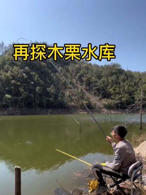 在探木栗水库,鱼情依旧稳定,喜欢钓小鱼的朋友可以去体验一下
