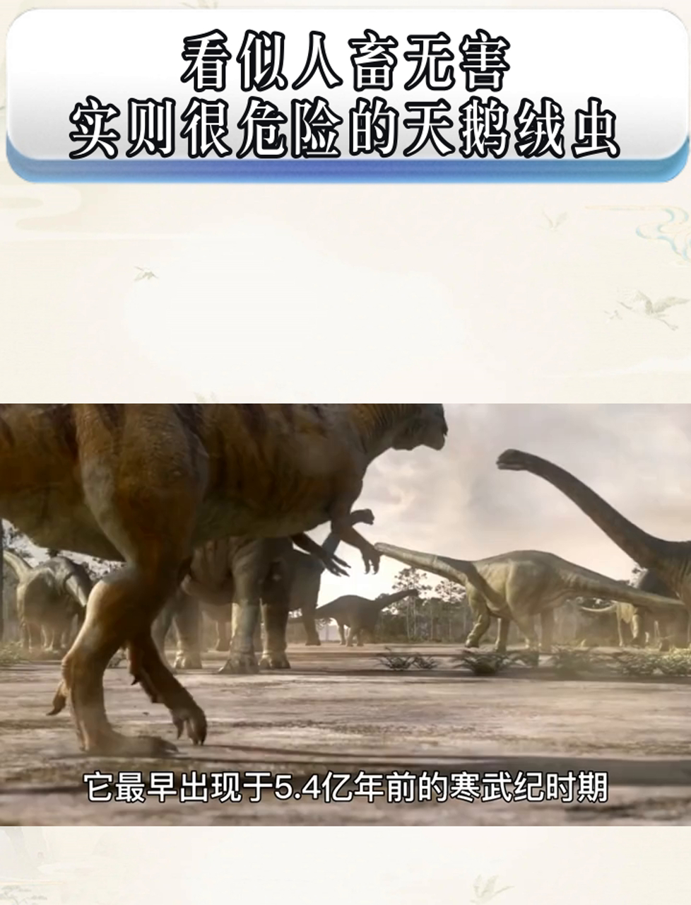 外表温和，实则暗藏杀机的天鹅绒虫