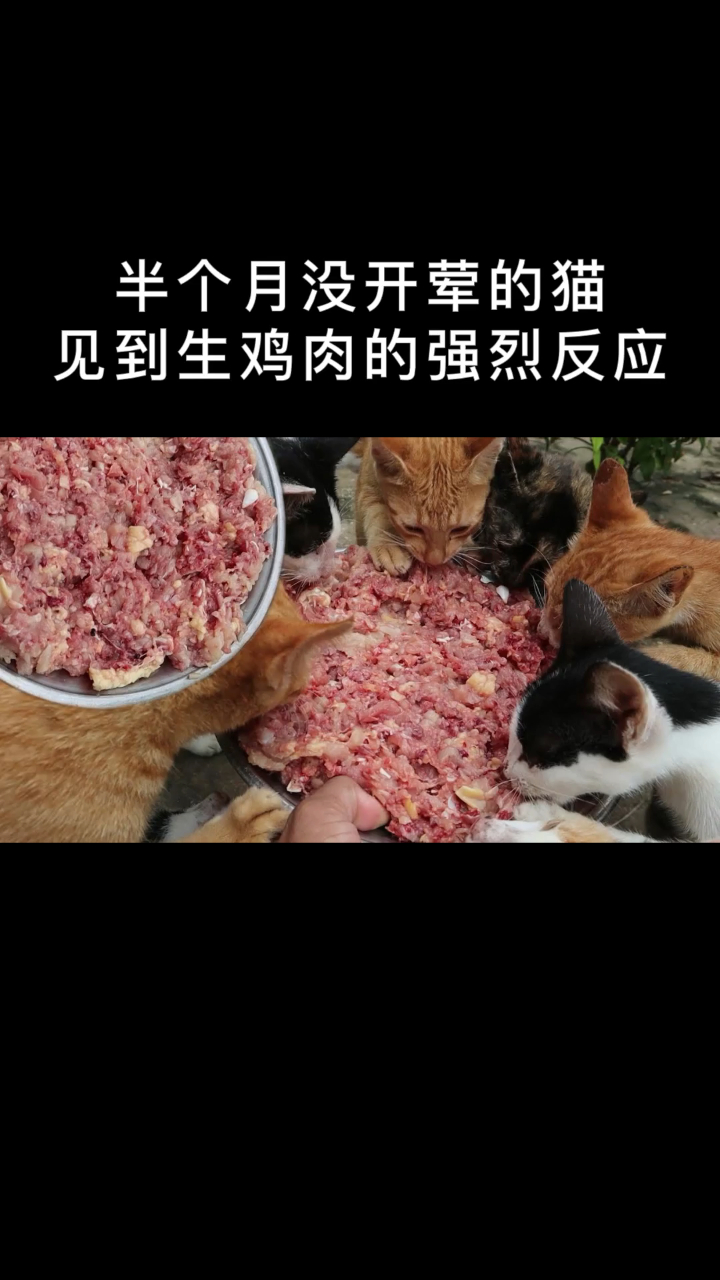 菜市场买的冷冻鸡肉,这样吃健康吗?