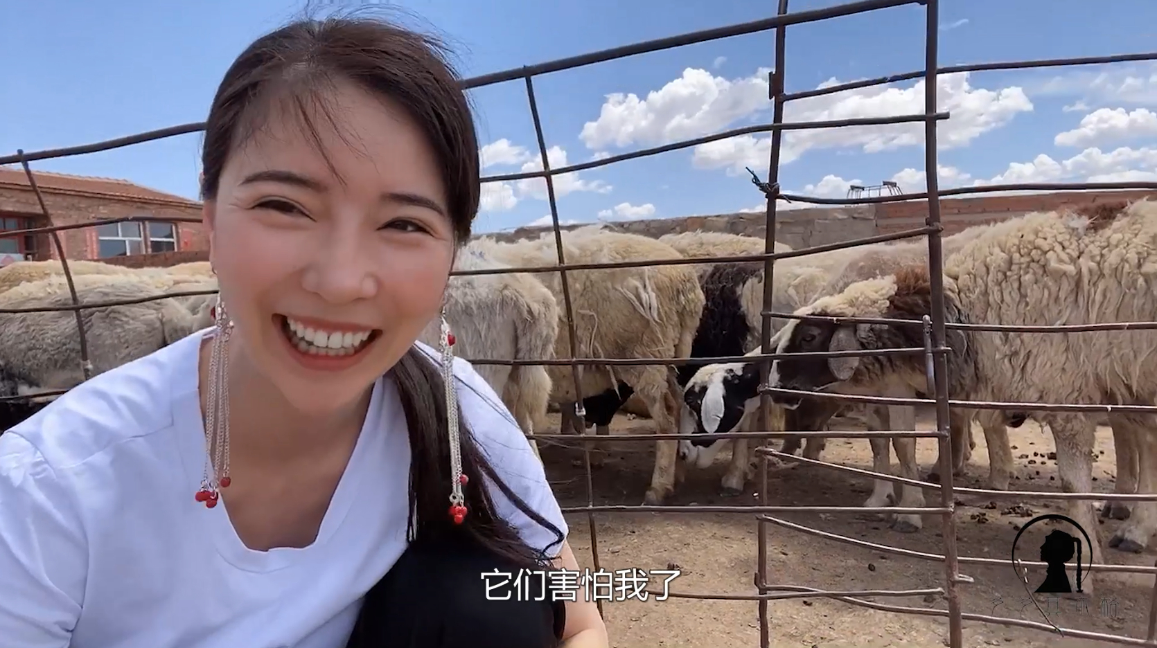 内蒙吃羊攻略:女汉子眼里全是肉,11种羊这样烹饪配小酒,绝了