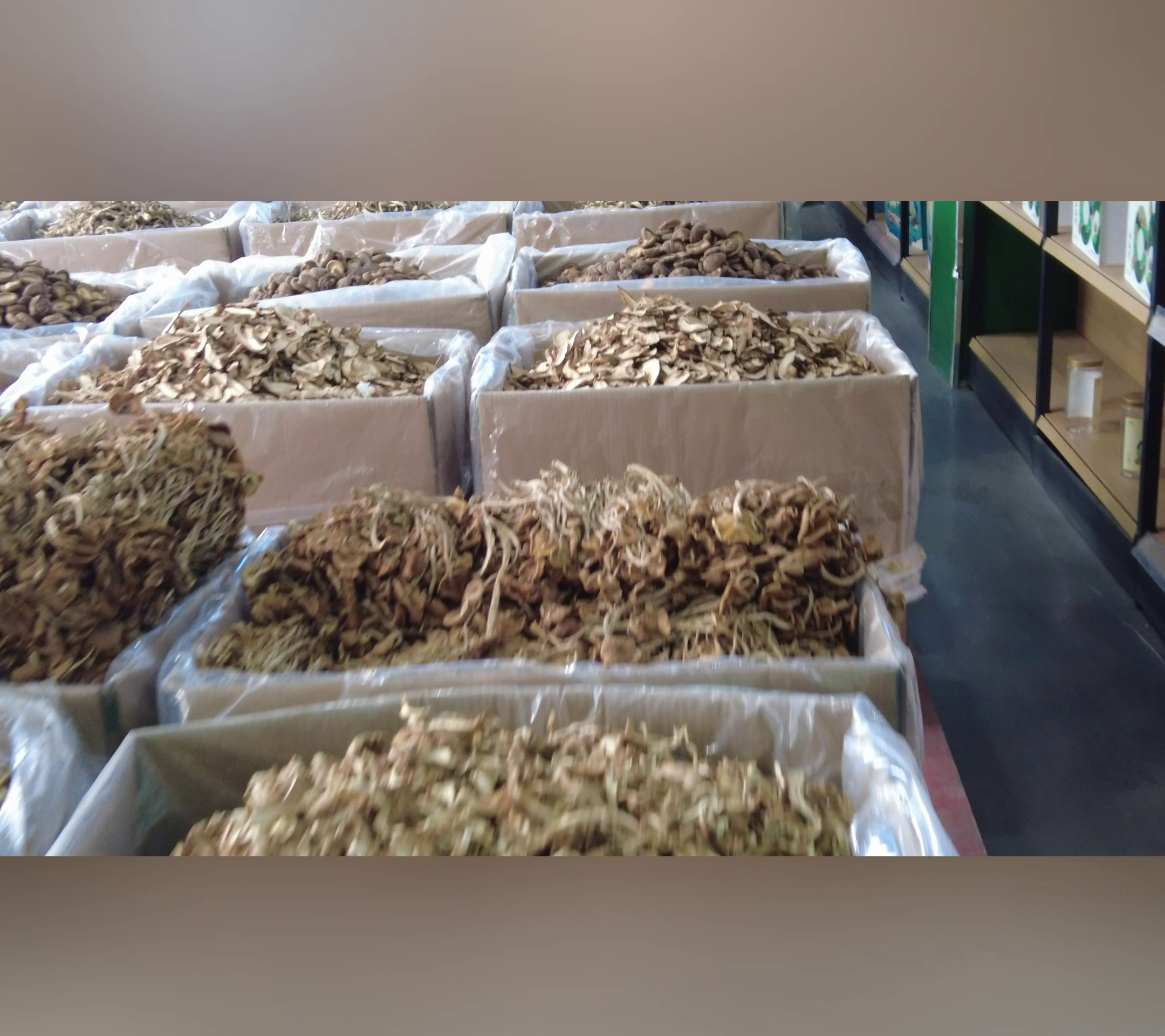 秋冬菌菇汤——养生必备(梵净山菌业)