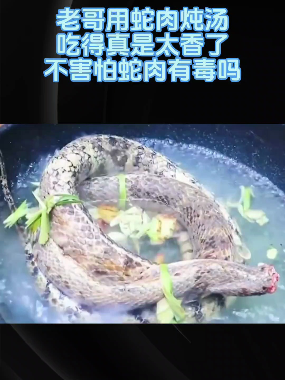 老哥用蛇肉炖汤,吃得真是太香了,不害怕蛇肉有毒吗