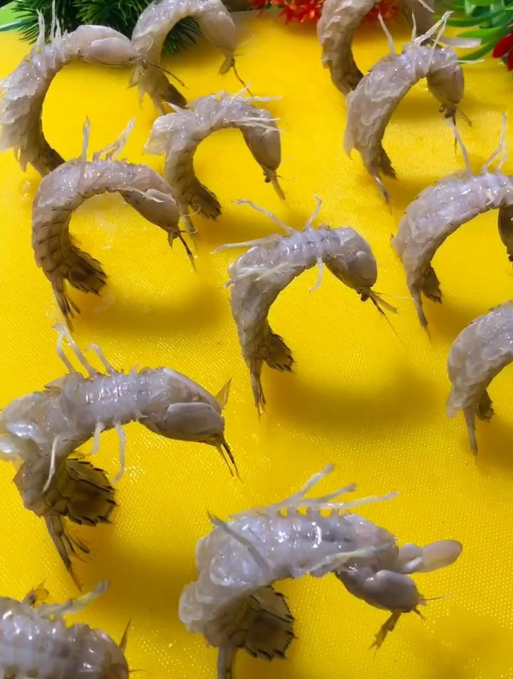 皮皮虾也叫虾爬子特别好吃的一道菜