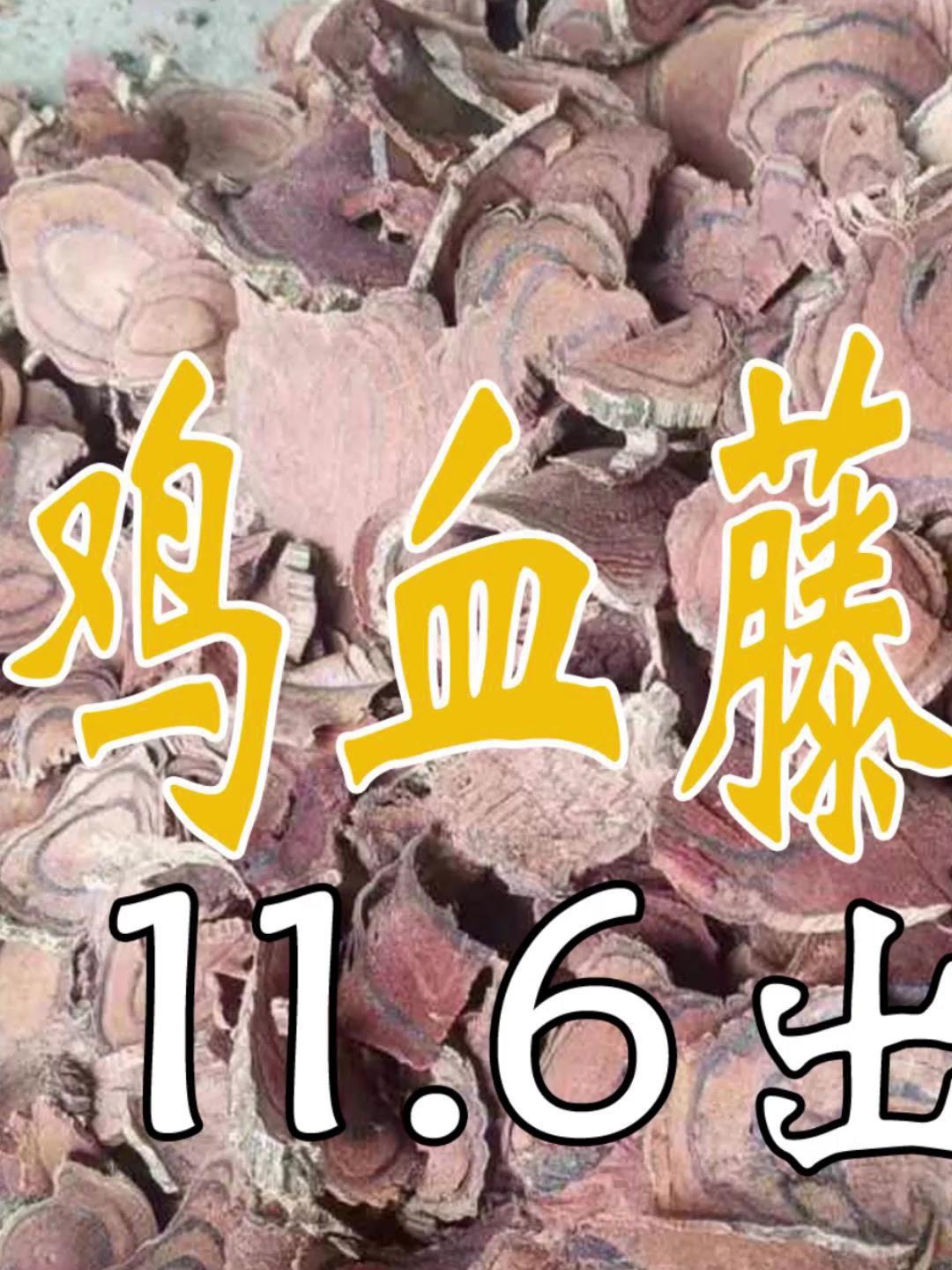 现在鸡血藤产地价格是多少