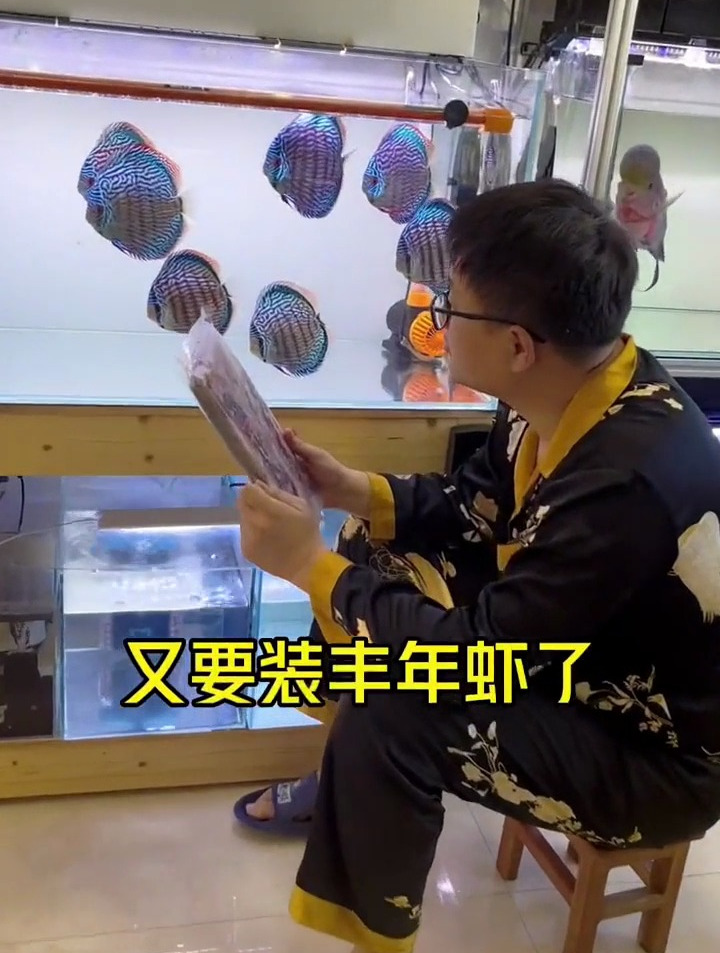 家里鱼多,丰年虾一个月就得装一次,必须喂的饱饱的