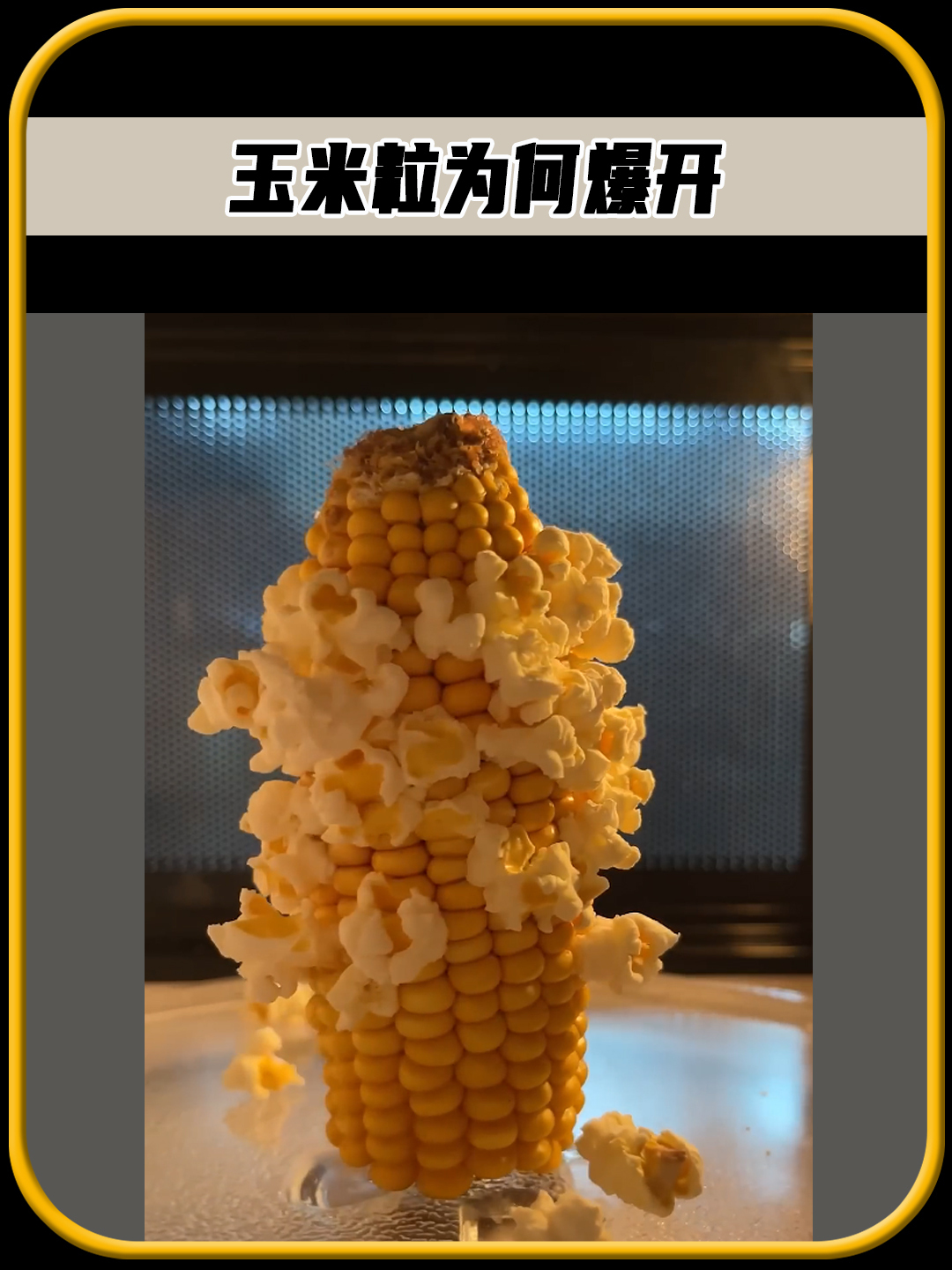你有没有想过,玉米粒为什么,会爆成爆米花呢