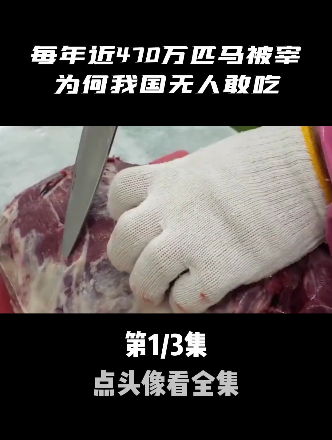 每年近470万匹马被宰,为何我国竟无人敢吃,马肉真的那么难吃吗