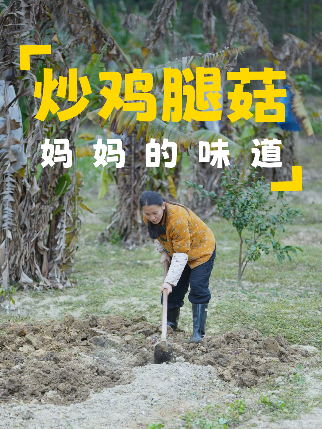 当鸡腿菇碰上鸡腿,会撞出什么样的美食呢,那就是双份美味