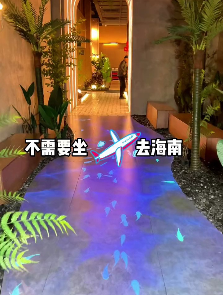 看完 省一张去海南的飞机票