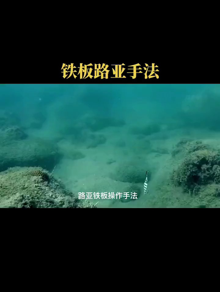 路亚铁板你会用吗?