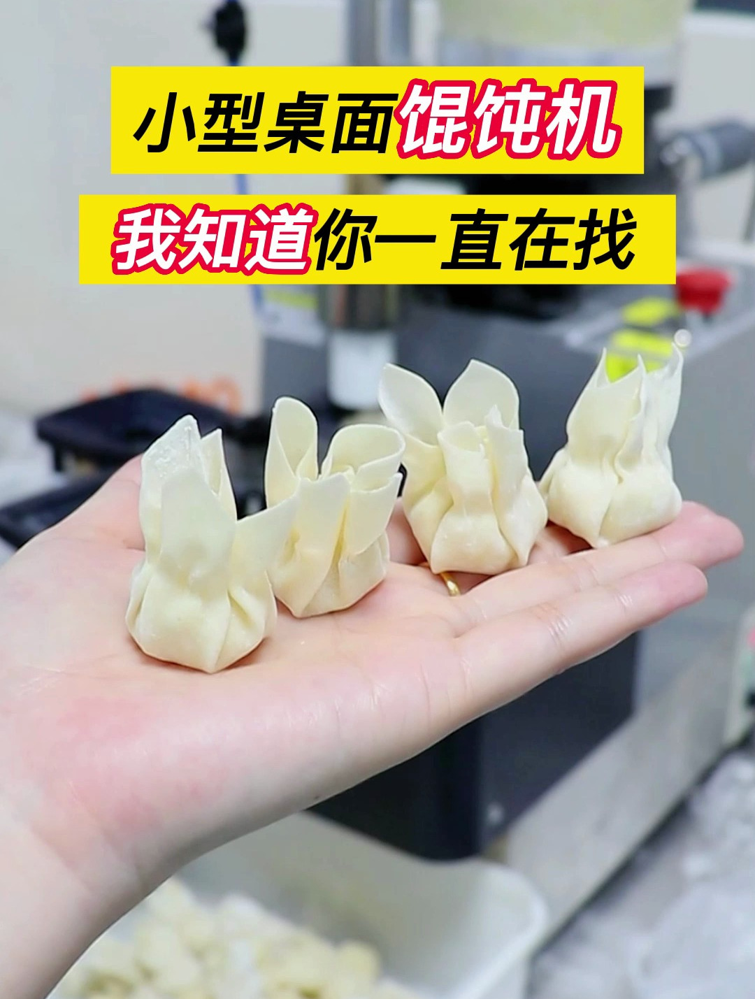 我知道你一起在找的小型桌面馄饨机,上市啦