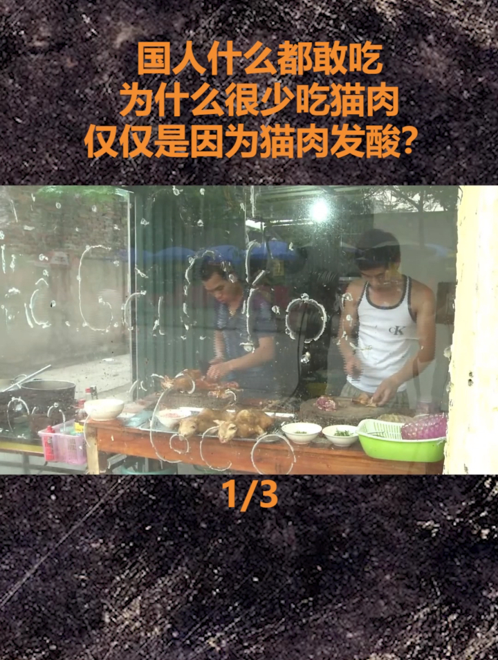 国人什么都敢吃,为什么很少吃猫肉?仅仅是因为猫肉发酸?
