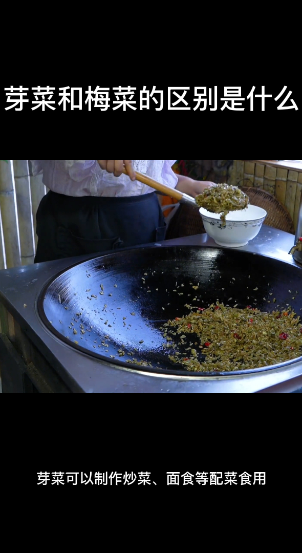 芽菜和梅菜的区别是什么