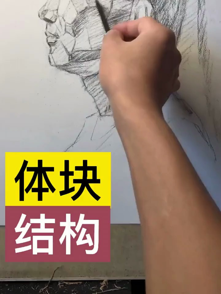 用第一性原理的思考理解头部结构