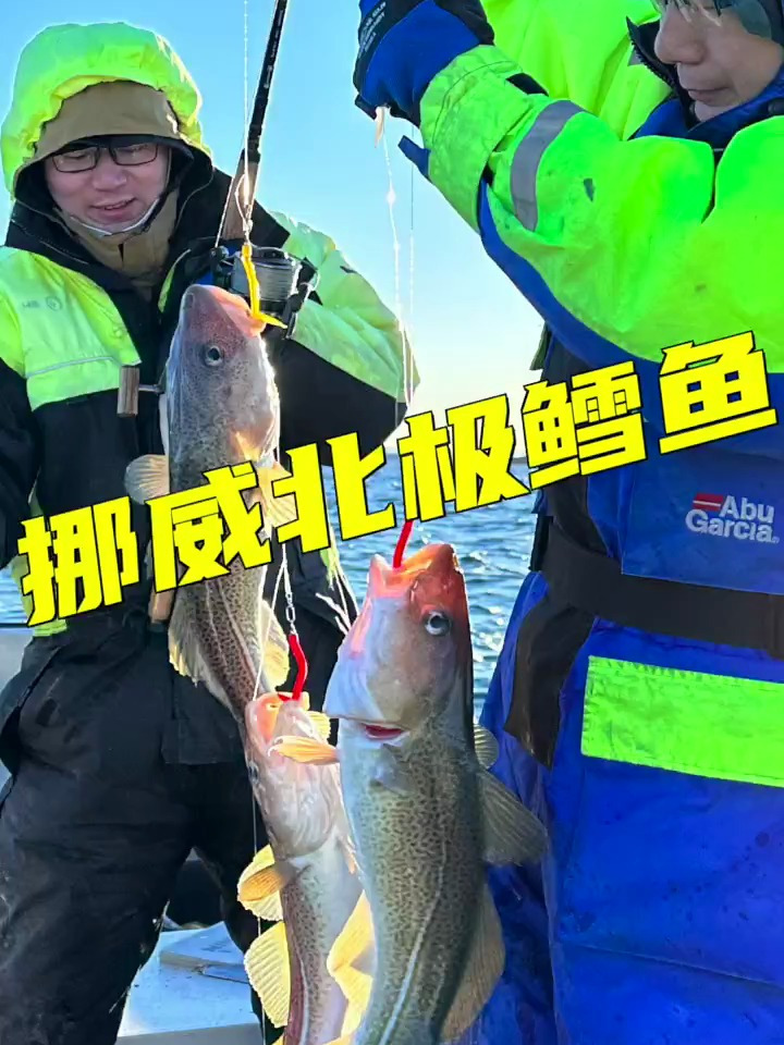 在挪威北极度假屋里做清蒸鳕鱼