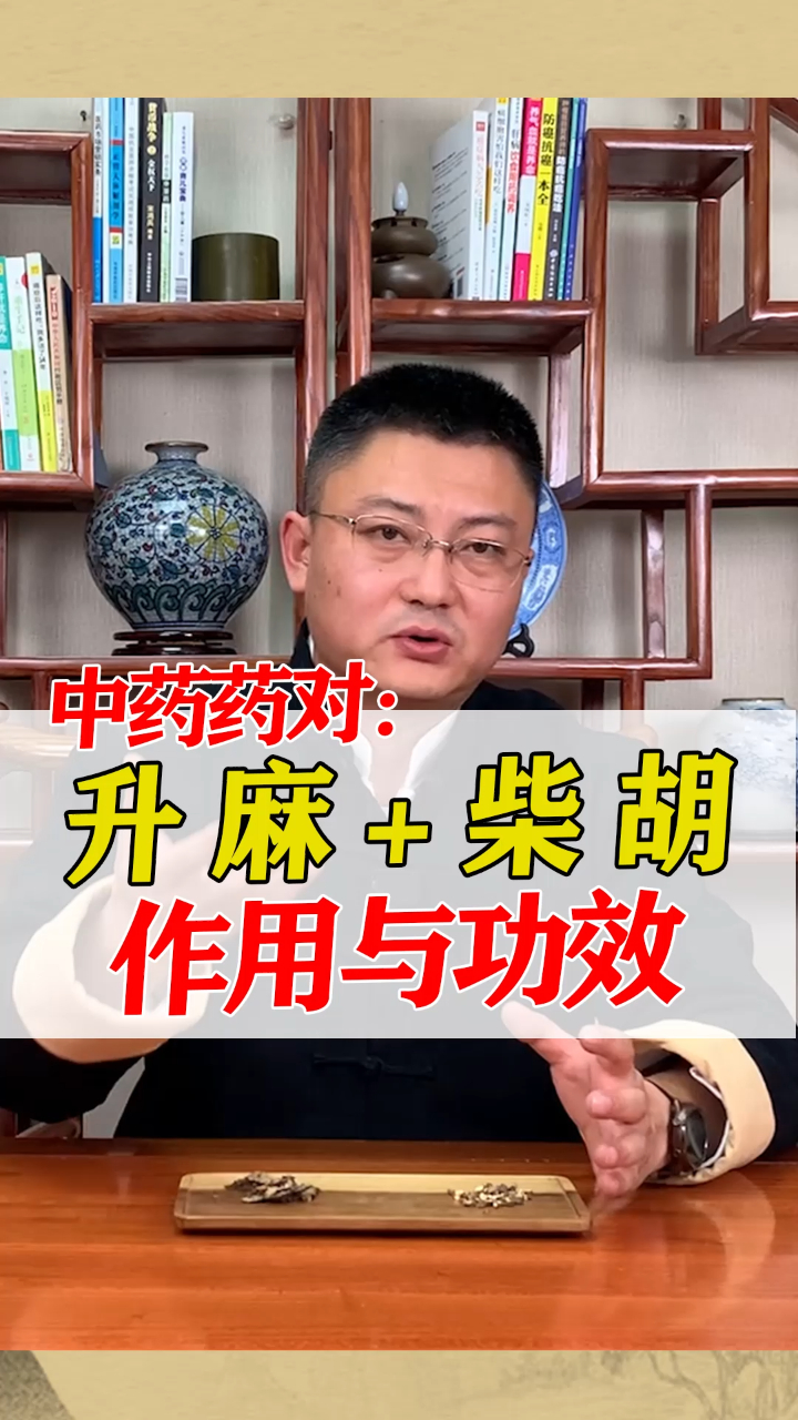升麻+柴胡作用与功效