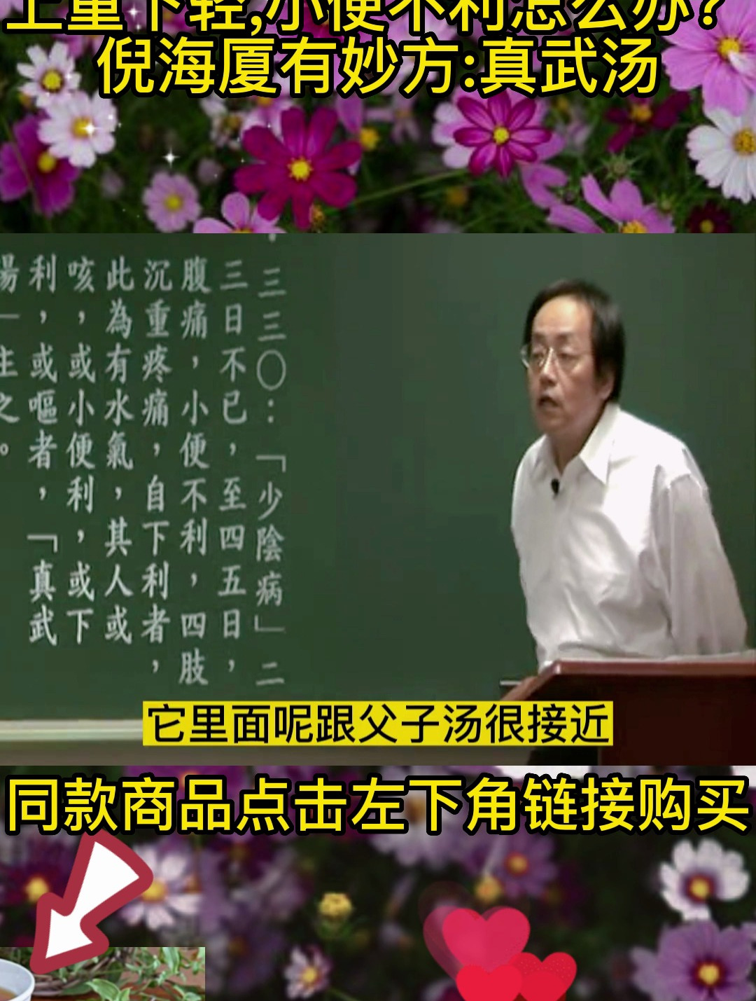 倪海厦老师:调理头重脚轻和祛寒湿的方法,那就是用真武汤
