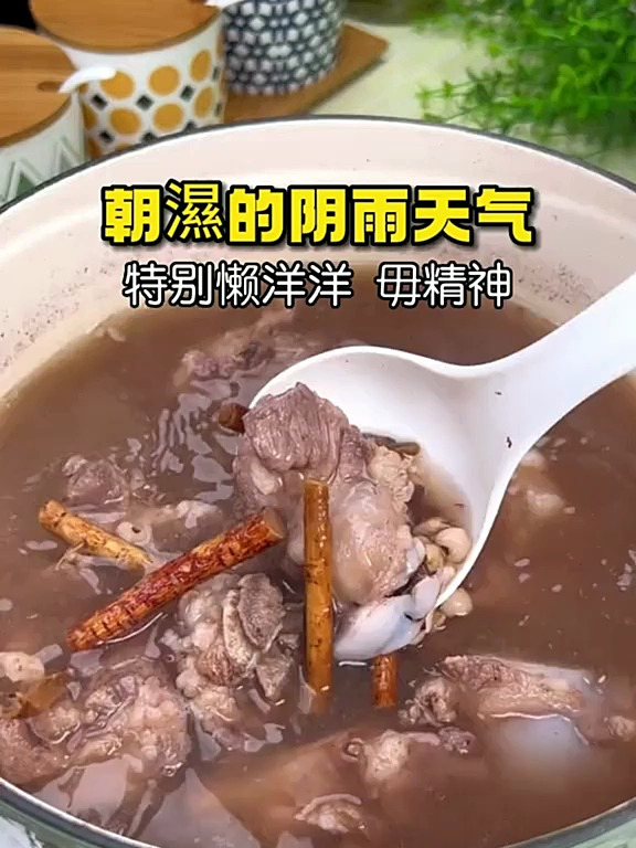 阴雨天五指毛桃汤