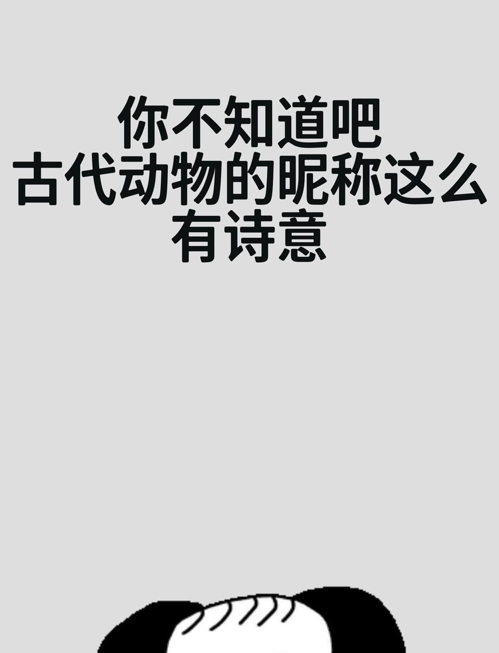 你不知道吧,古代动物的昵称这么有诗意!