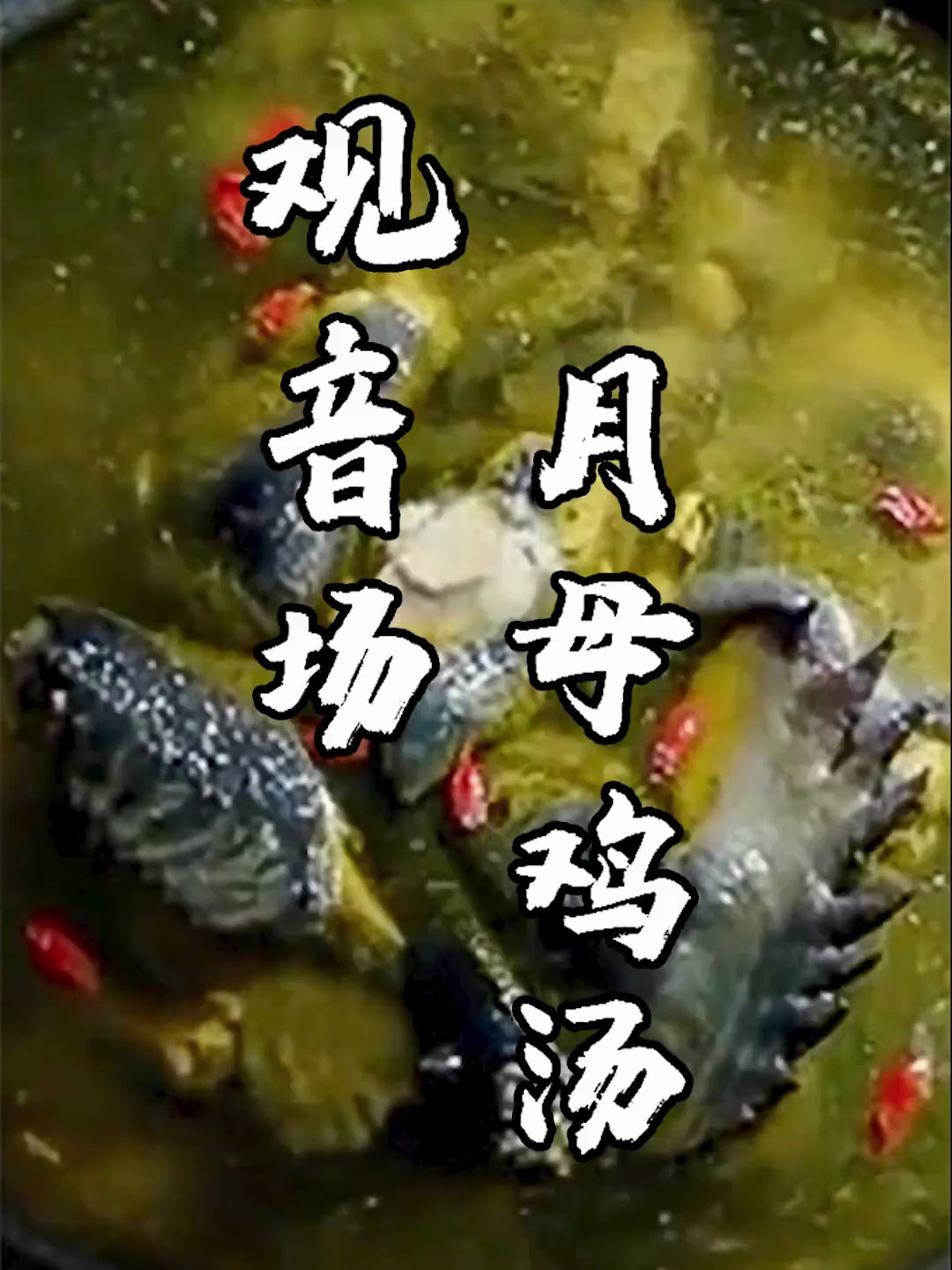 你吃过最正宗的月母鸡汤吗