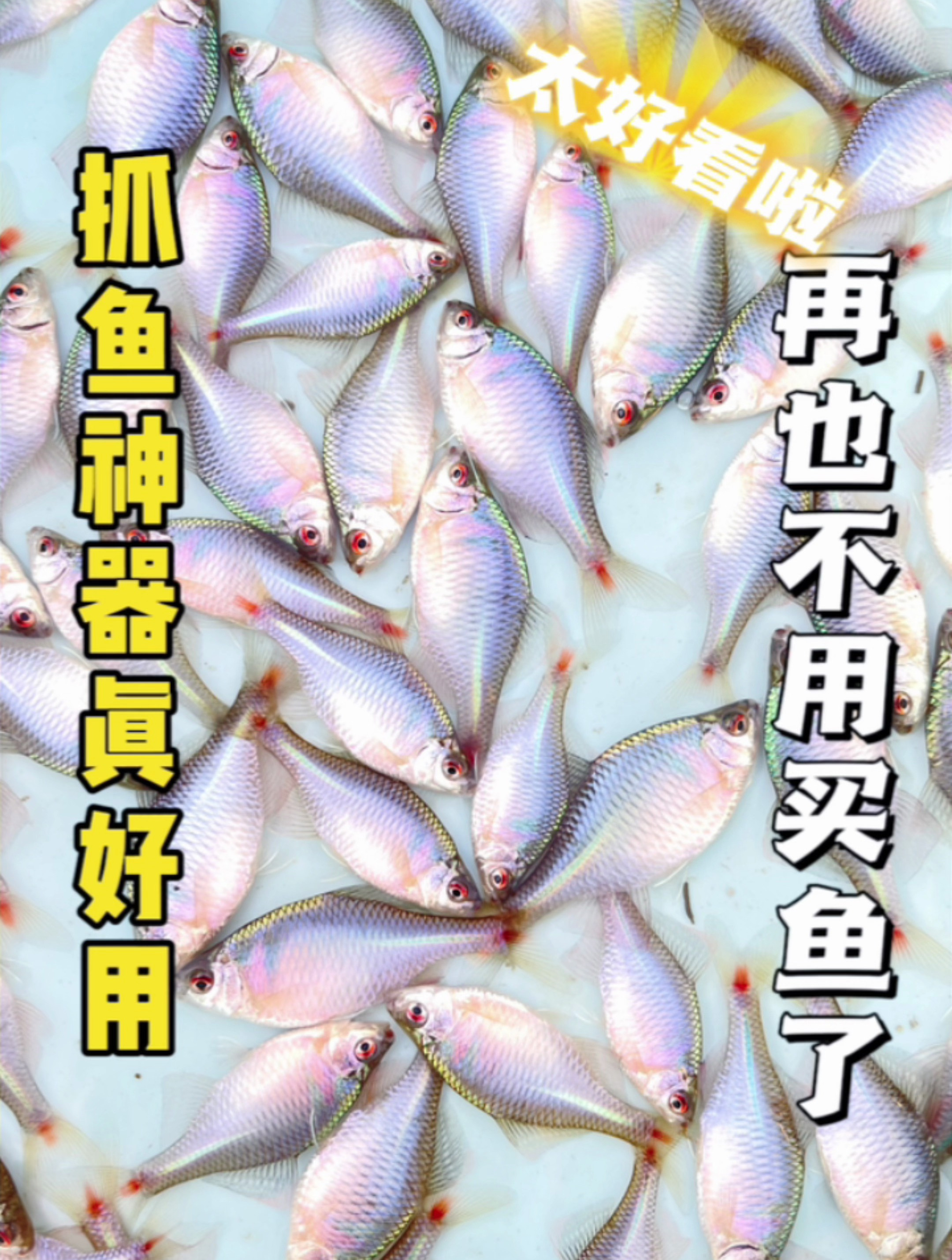 我做的抓鱼神器成功了,里面全是鱼