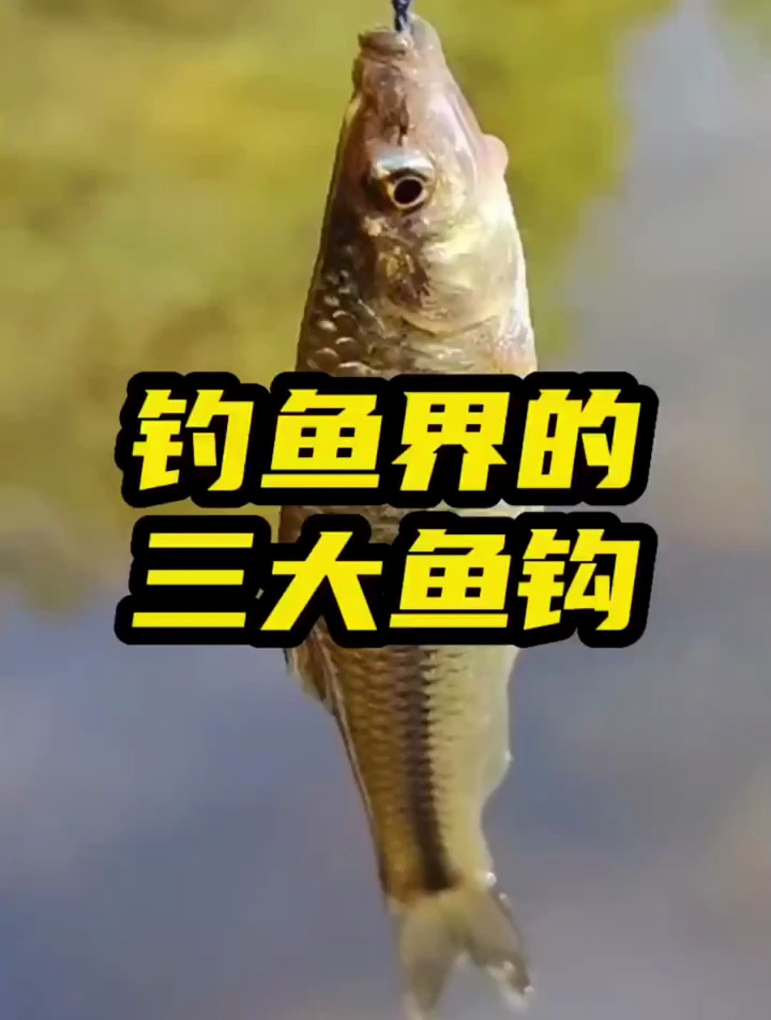 钓鱼界最好用的三大鱼钩,80%的钓鱼人都在用,谁用谁知道