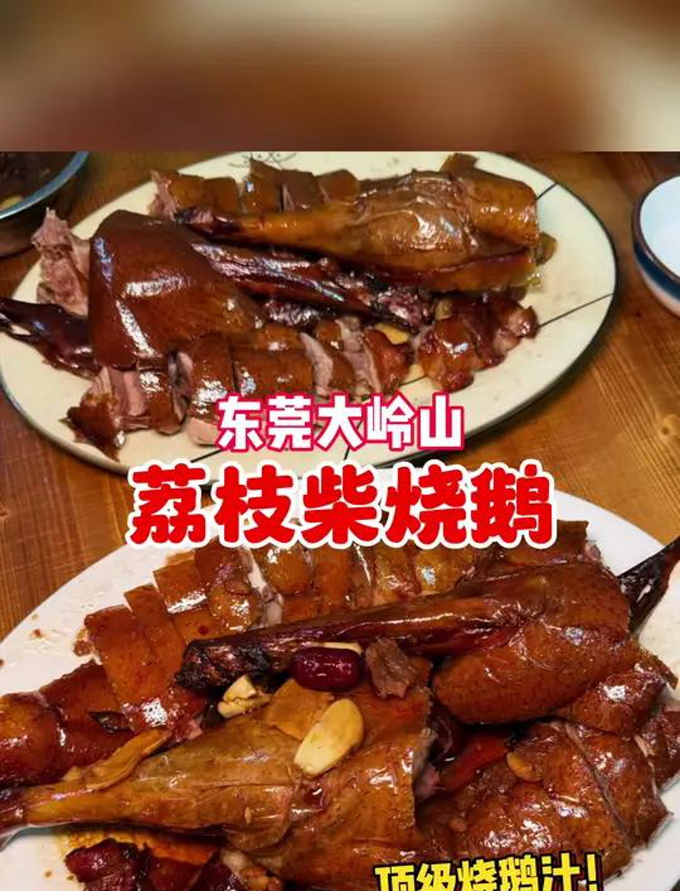 东莞大岭山荔枝柴烧鹅，吃到了人生烧鹅汁太下饭了