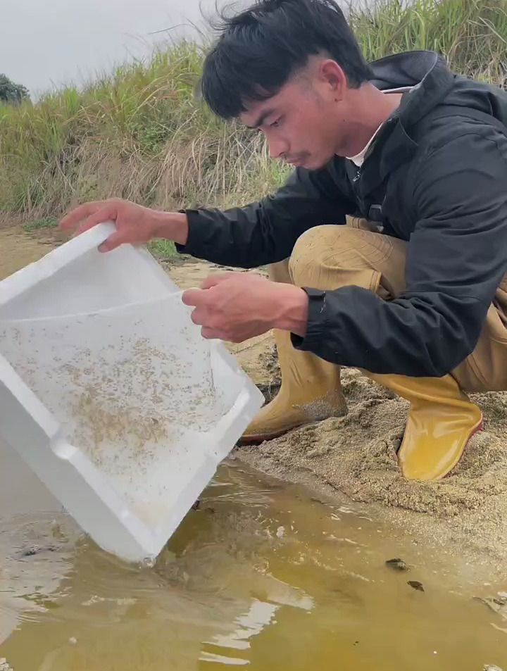 今年就放这么多白苗好了,如果豆苗合适再考虑,天气好了再放虾苗
