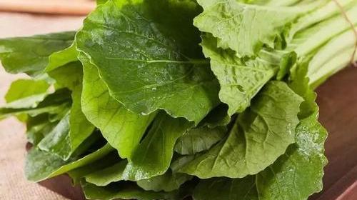 春天3种野菜,煮水煮汤,明目消炎,促进代谢,养护前列腺!