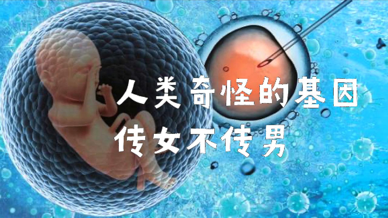 [图]人类有个奇怪基因传女不传男,女性一脉相传