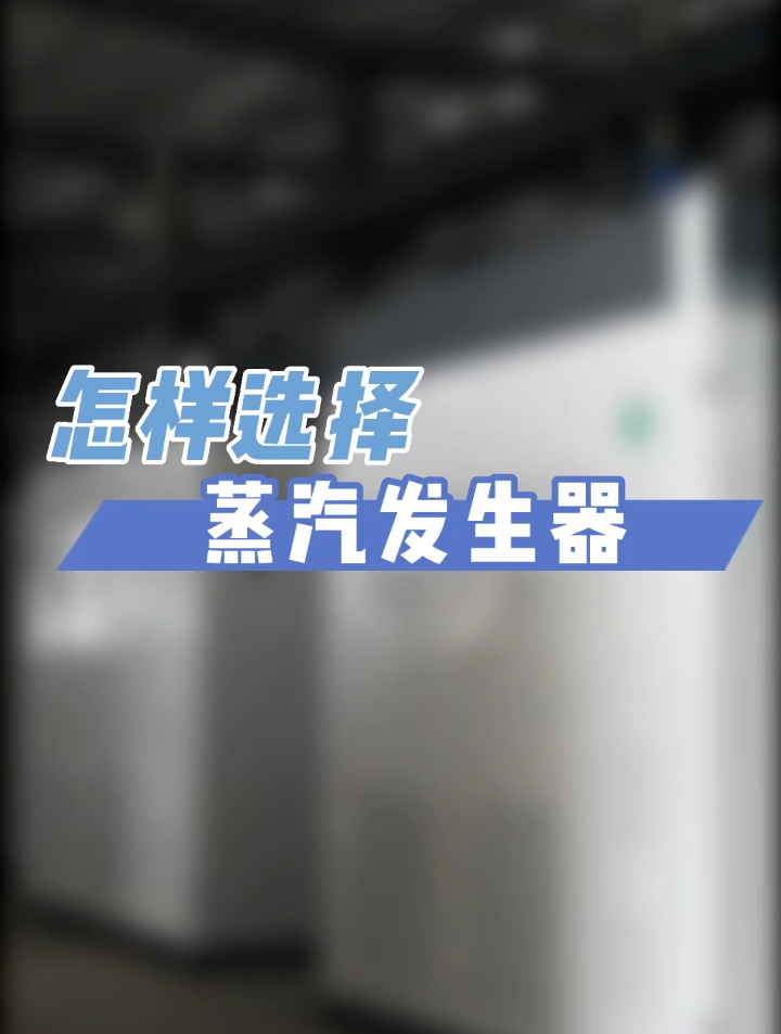 怎样选择蒸汽发生器
