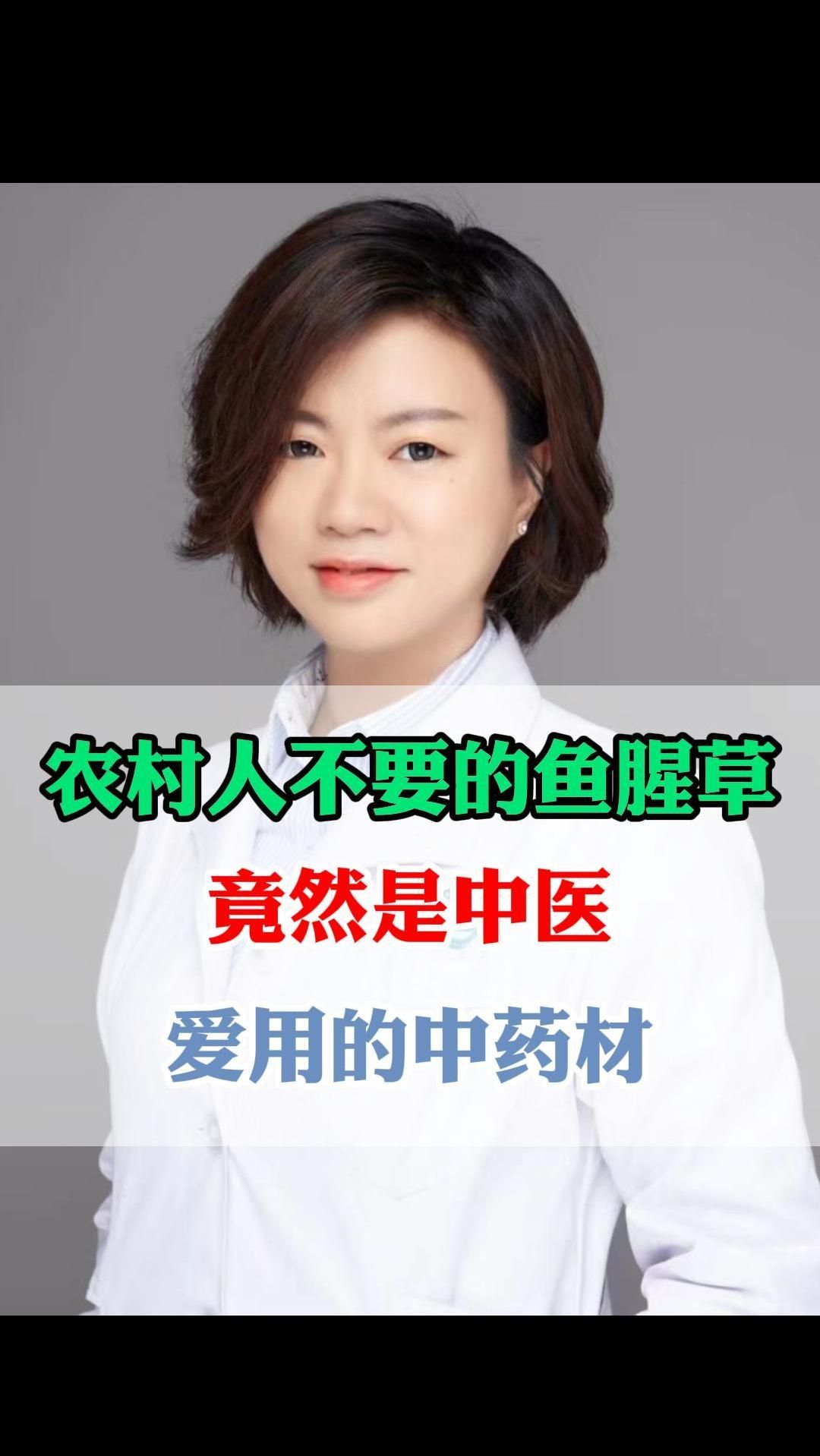 农村人不要的鱼腥草竟然是中医爱用的中药材